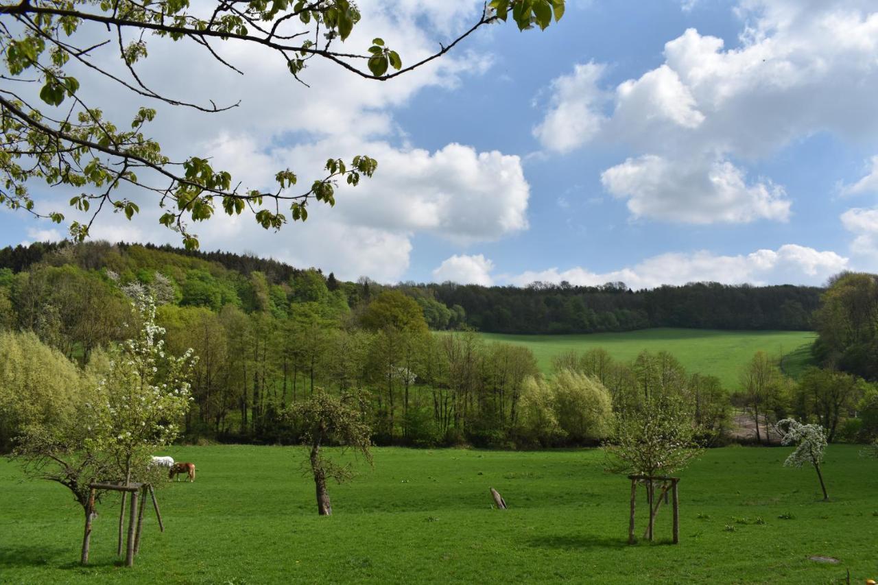 Ferienwohnung Guese Detmold Exteriér fotografie